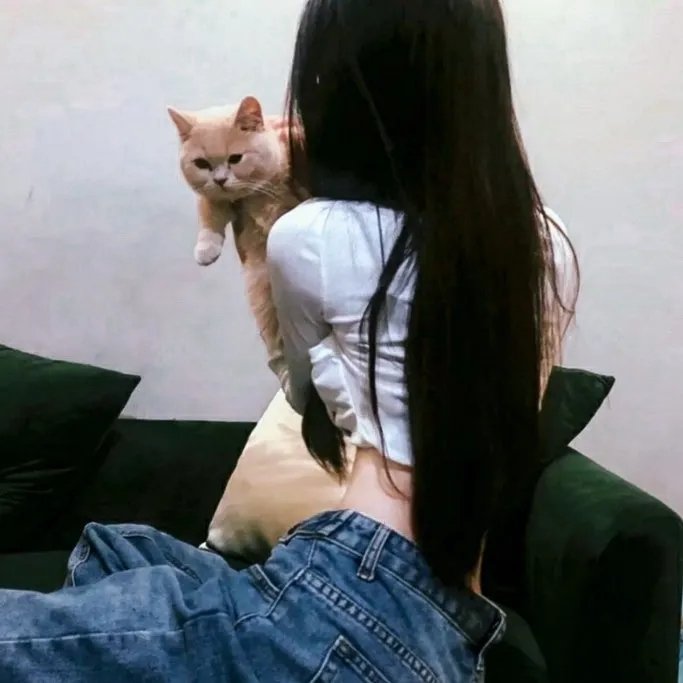 应承 在线观看